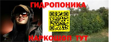 герыч Новодвинск