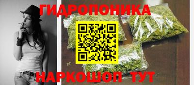 герыч Новодвинск