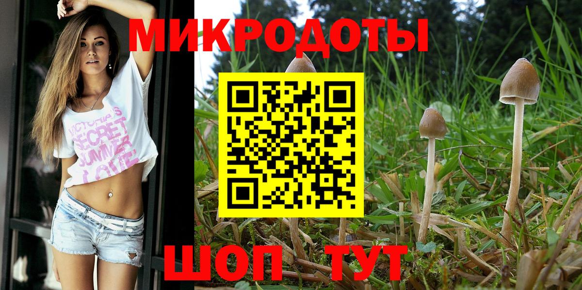 сколько стоит  Вход с VPN  Сочи  Галлюциногенные грибы Psilocybine cubensis 